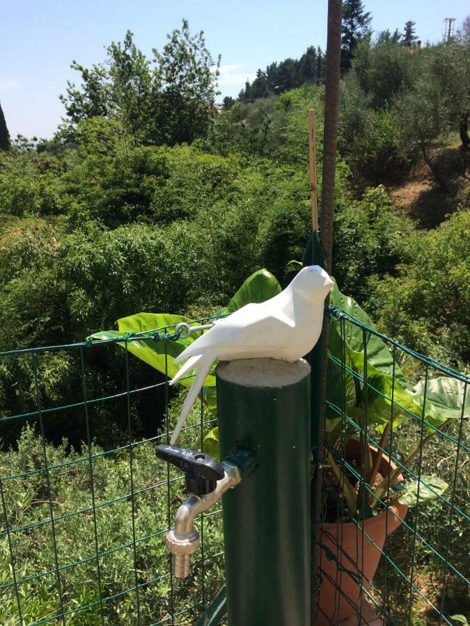 منزل الضيف Corsanico-Bargecchia  في La Casina Delle Rondini المظهر الخارجي الصورة